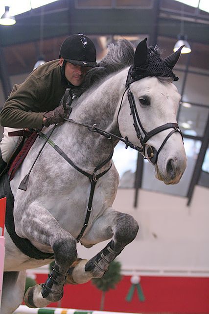 2008.10.25._kaposvar_lovas_akademia.jpg