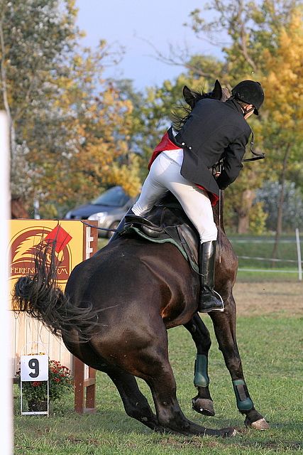 balastya_virag_kupa_2008.jpg