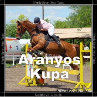 2010.06.06._aranyos_kupa_banner.jpg