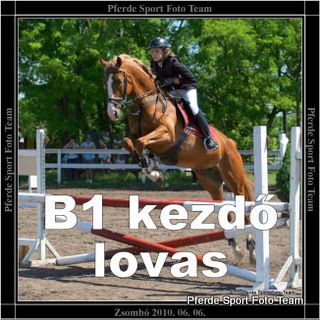 2010.06.06_b1_kezdo_lovas_banner.jpg