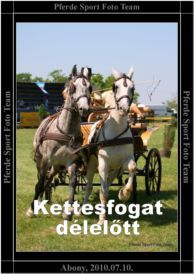 abony_kettesfogat_delelott_15.jpg