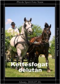 abony_kettesfogat_delutan_15.jpg