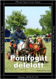 abony_ponifogat_delelott_15.jpg