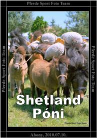 abony_shetland_poni_15.jpg