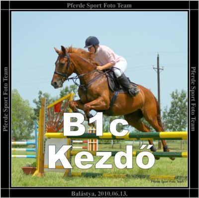 b1c_kezdo_lo_balastya_2010.06.13..jpg
