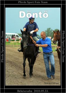 b_donto.jpg