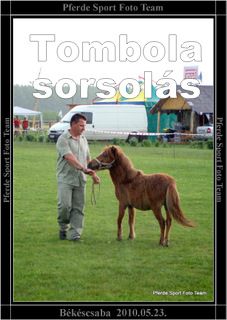 b_tombola.jpg