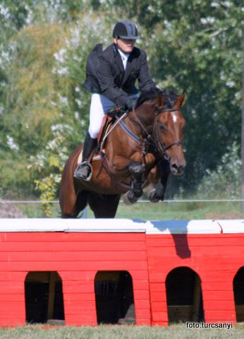 balastya_06._2009_aranos_kupa_nyitott.jpg