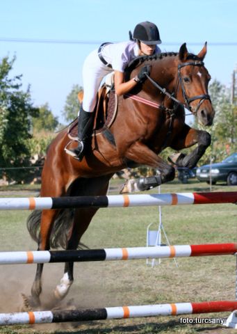 balastya_08._c3._2009._napraforgo_kupa.jpg