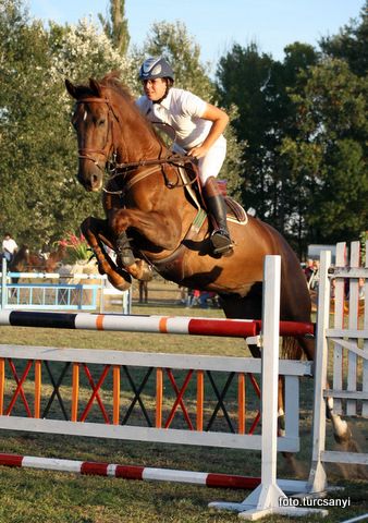 balastya_09._a1._2009_viragkupa.jpg