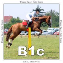 bekes_bic-25.jpg