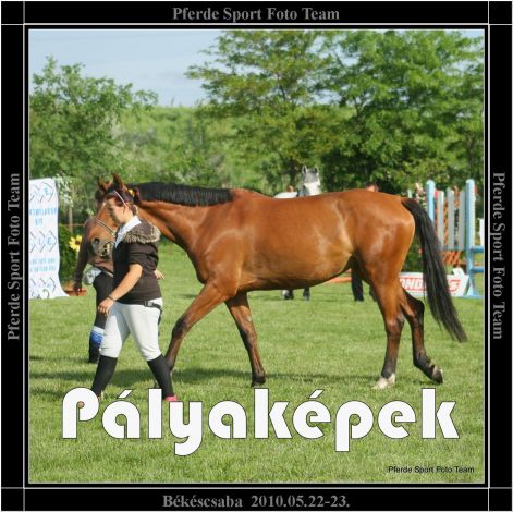 bekescsaba_palykepek.jpg