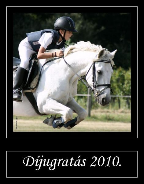dijugratas.jpg