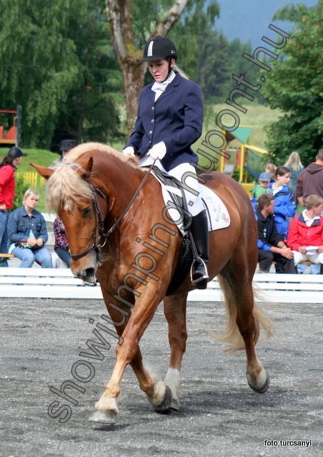 dressprufung_06.jun.09._saalfelden.jpg