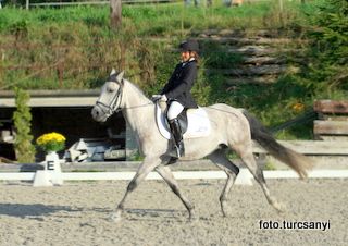 gnadenwald-01_dressurprufung-kl.a.jpg