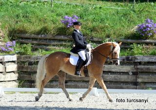 gnadenwald_03_pony_dressur_kl_l.jpg