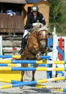 gnadenwald_06_pony_standardspring_kl_l.jpg