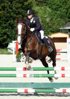gnadenwald_09_stilspring_kl_e.jpg