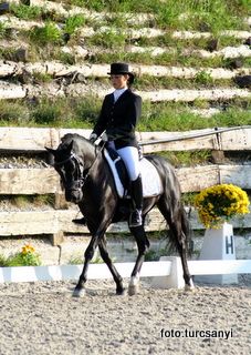 gnadenwald_11_dressurreiterprofung_kl_a.jpg