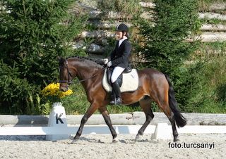 gnadenwald_12_pony_dressurprufung_kl_a.jpg