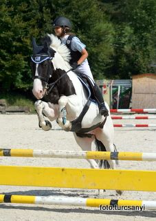 gnadenwald_14_pony_einlaufspring_kl_e0.jpg