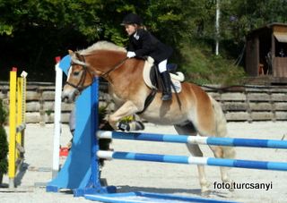 gnadenwald_15_pony_standadspring_kl_a.jpg