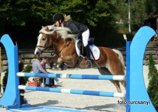 gnadenwald_16_pony_standardspring_kl_l.jpg