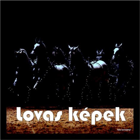 lovas_kepek.jpg