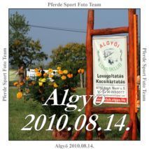 masolat_2_-_algyo_2010.08.14.-25.jpg