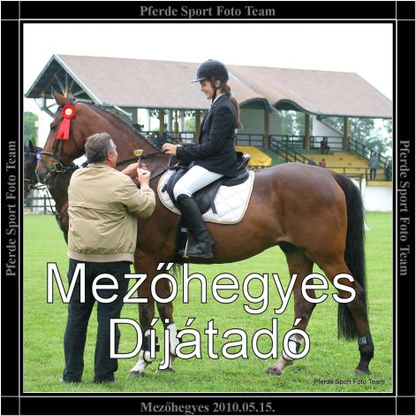 mezohegyes_dijatado.jpg