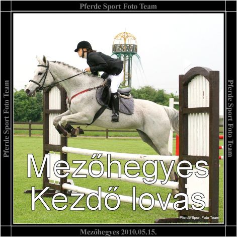mezohegyes_kezdo_lovas.jpg