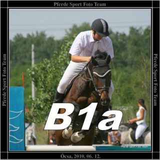 ocsa_b1a_banner.jpg