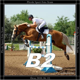 ocsa_b2_banner.jpg