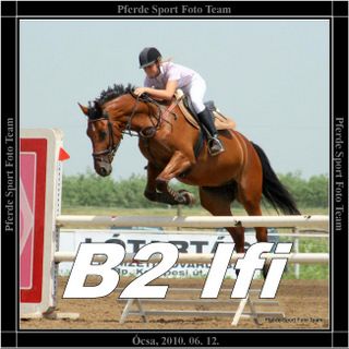 ocsa_b2_ifi_banner.jpg