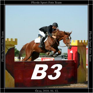 ocsa_b3_banner.jpg