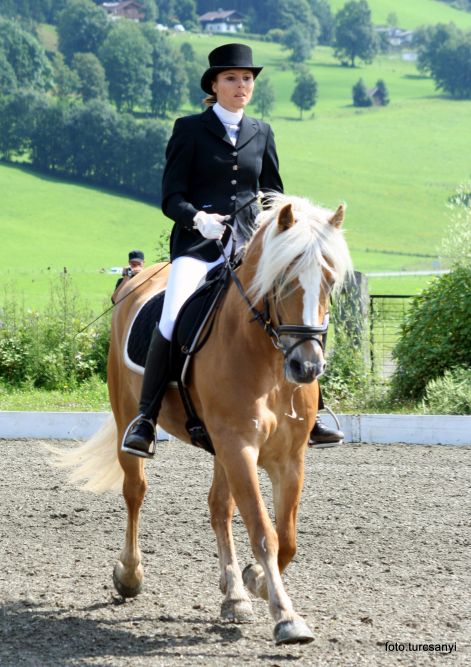 piesendorf-waidach_dressur_1_banner.jpg