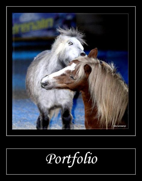 portfolio_146.jpg