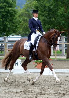 reutte_06-28-dressur_kl_s.jpg