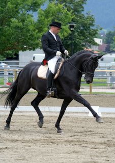 reutte_06-28-dressurprufung_kl._lm.jpg