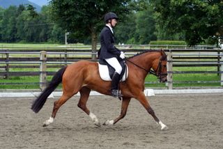 reutte_06-28-pony_kl._l.jpg