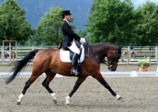 reutte_06.28-dressur_kl._m.jpg