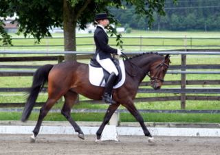 reutte_066-28-pony_dressur_kl._a.jpg