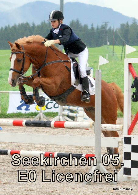 seekirchen_05_stilspring_lifrei_e0.jpg