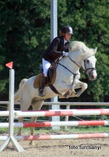 seekirchen_16_pony_spring_a..jpg
