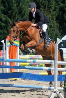 seekirchen_17_stilspringprufung_l1..jpg