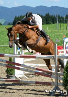 seekirchen_19_standardspring_lm..jpg