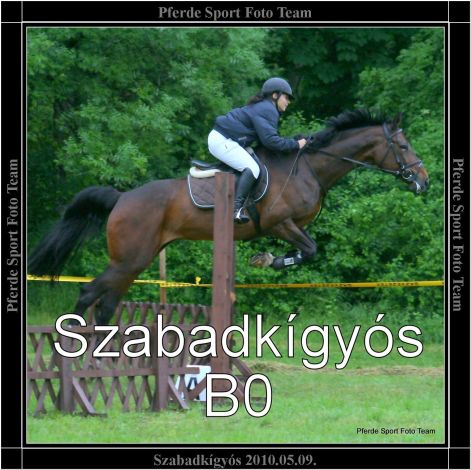 szabadkigyos_b0.jpg