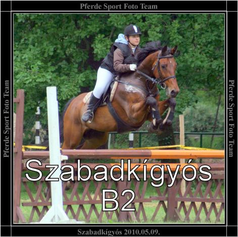 szabadkigyos_b2.jpg