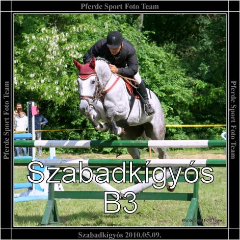 szabadkigyos_b3.jpg