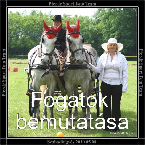 szabadkigyos_fogatok_bemutatasa.jpg